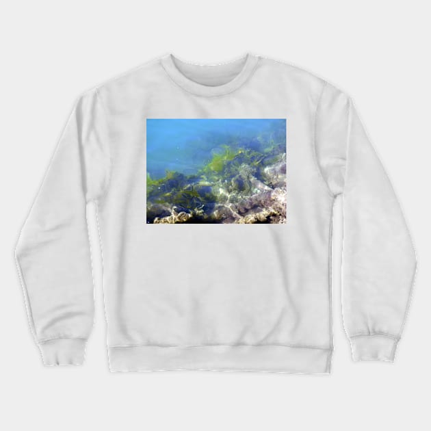 In the bay Crewneck Sweatshirt by kirstybush